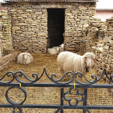 Agriturismo Duca Di San Martino Farm stay Partanna