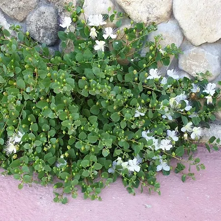 Agriturismo Duca Di San Martino
