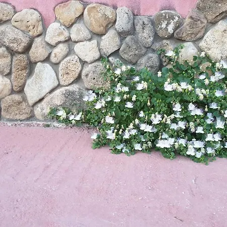 Agriturismo Duca Di San Martino Farm stay