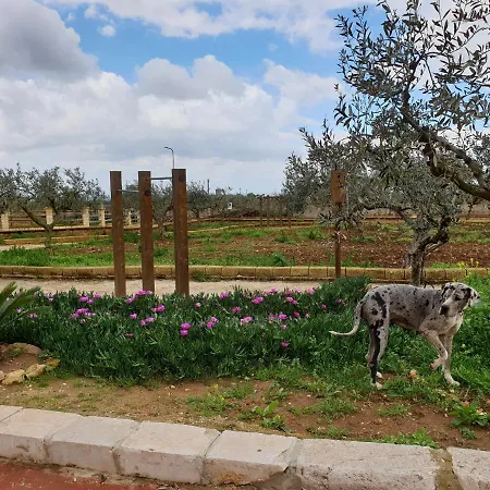Agriturismo Duca Di San Martino Partanna