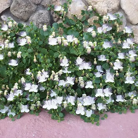 Duca Di San Martino Séjour à la ferme