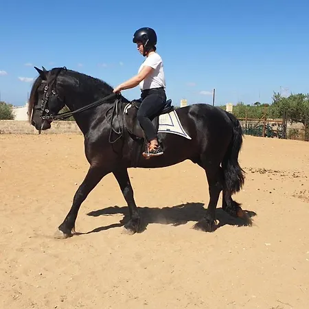 Duca Di San Martino Partanna